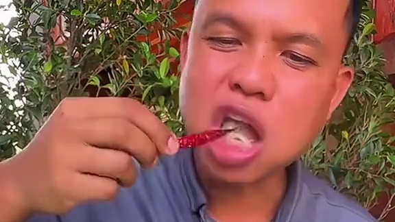 新鲜蔬菜辣拌️油炸虫子 #美食 #泰国美食 #户外美食 #内容启发搜索