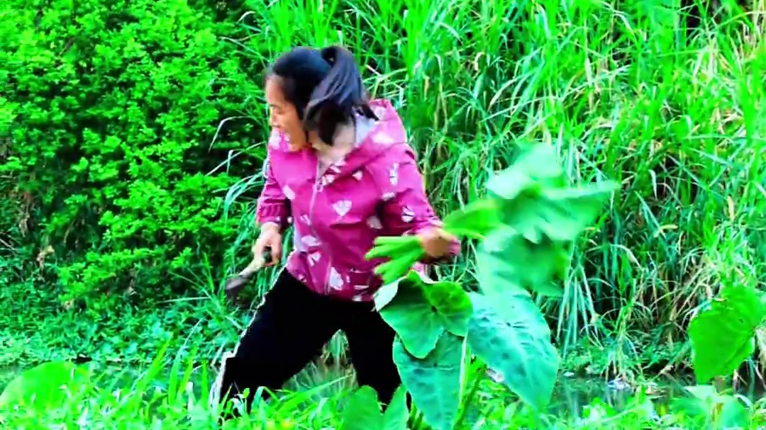 今天一鱼五吃 剁椒鱼头 糖醋鱼 清蒸鱼腩 椒盐鱼骨  鱼生 #农村美食 #农村生活 #人间烟火 #农