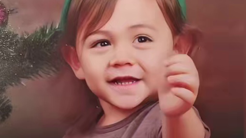 幼崽时期的诺一宝宝