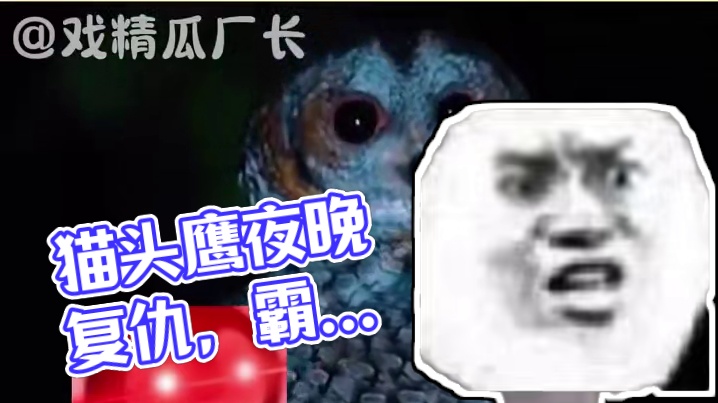 猫头鹰：君子报仇就在今晚#万万没想到 #斗破苍穹 #猫头鹰 #游隼