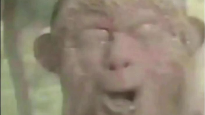 这场面真的是硬控我几秒钟啊，一只堪比山海建模巅峰的千年 #妄想山海 #建模 #安利妄想山海的异兽 #