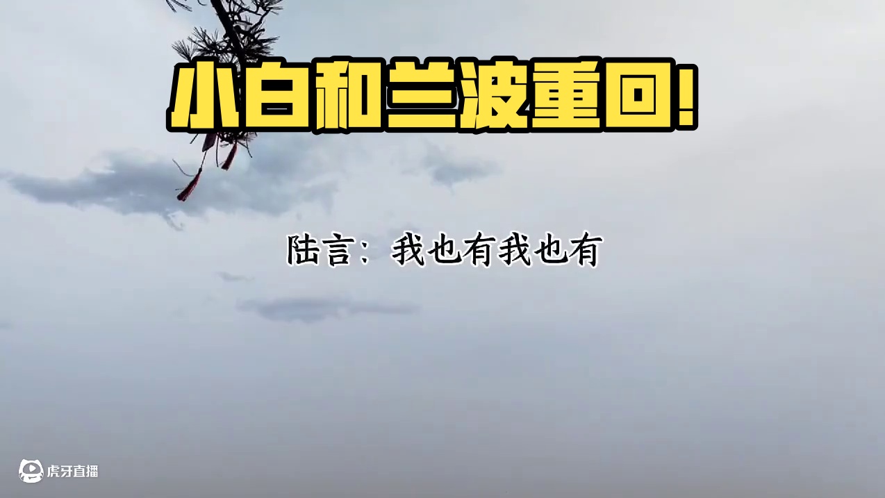 大家都在盼望着小白和兰波能回来#人鱼陷落