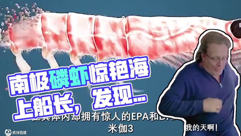 没想到神秘的南极，竟然还有这种好东西！#南极磷虾 #虾皮 #虾干 #小虾米 #好吃到停不下来