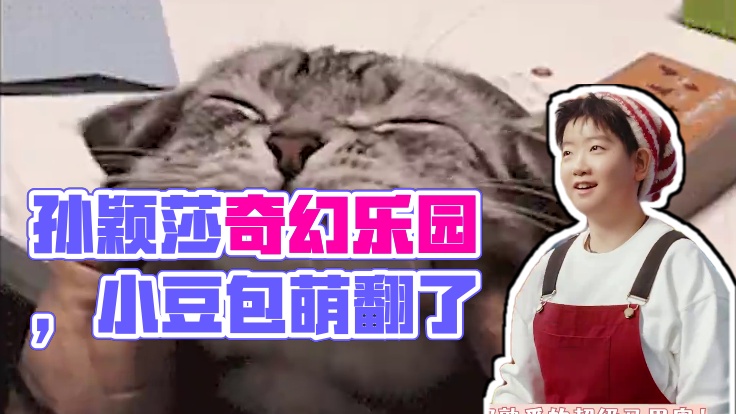 #一键进入孙颖莎奇幻乐园 看得人心都软化了 好想rua这个小豆包