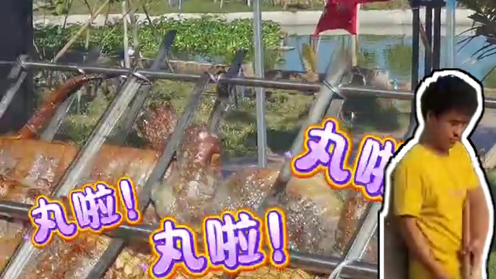 鳄鱼王终于报仇了