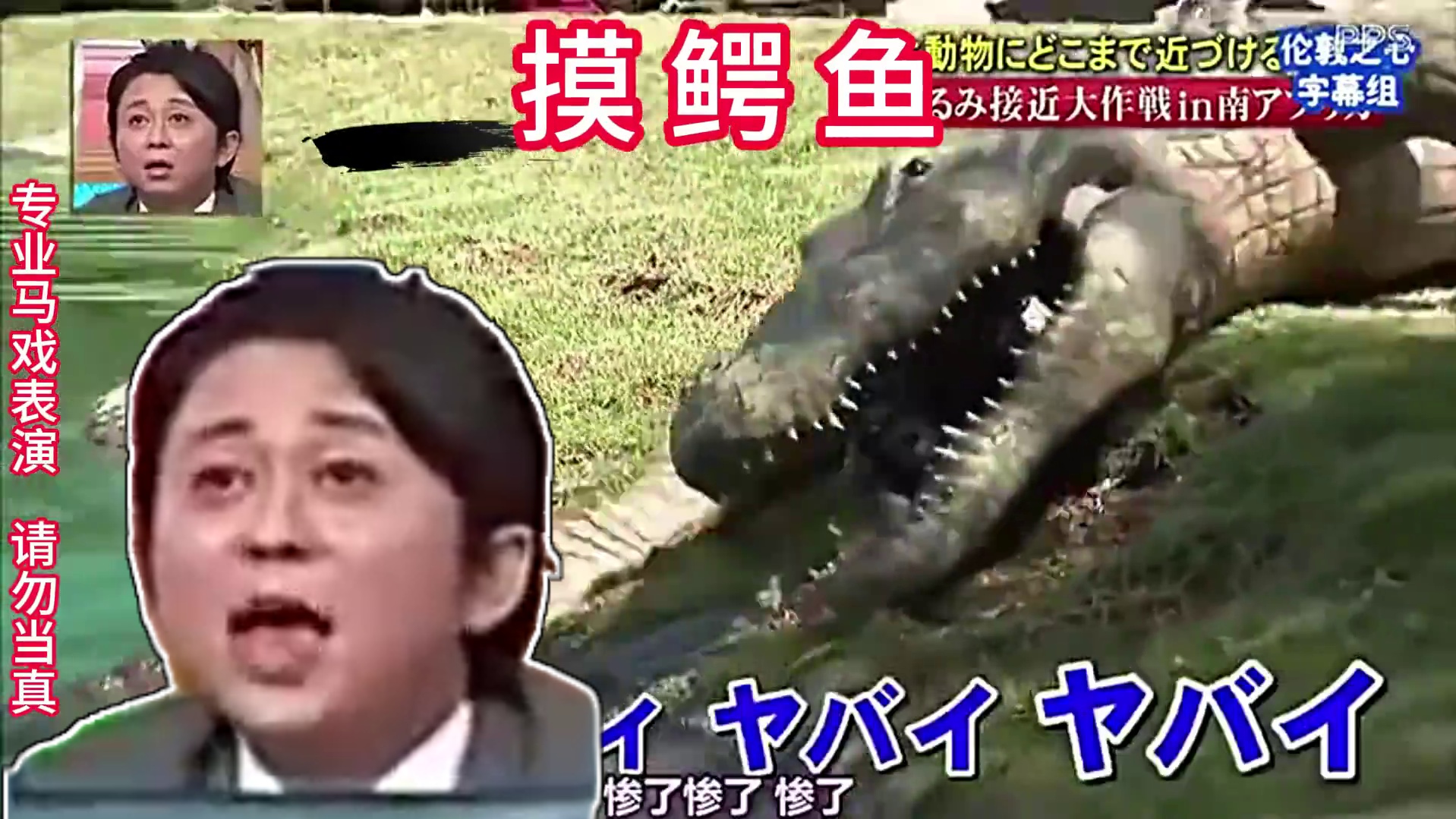 如果遇到这样的事情你会怎么办呢。 #这谁顶的住啊 #奇葩综艺 #综艺搞怪 #老外真会玩 #商品鳄