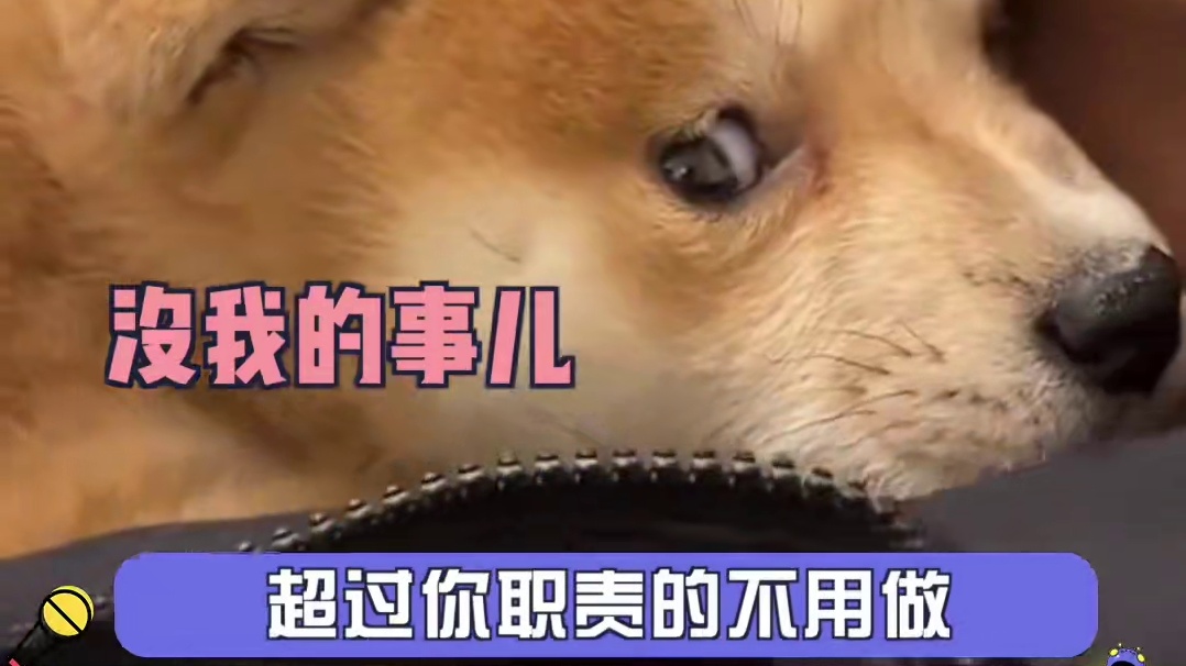 就想说点大实话