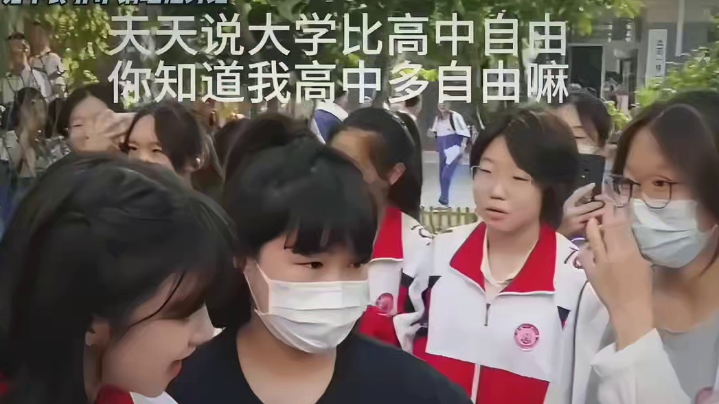 这放古代得叫国子监吧