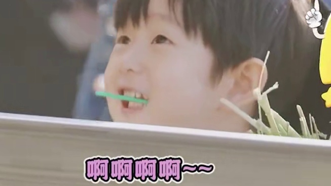 这小子小烟嗓又man又可爱的