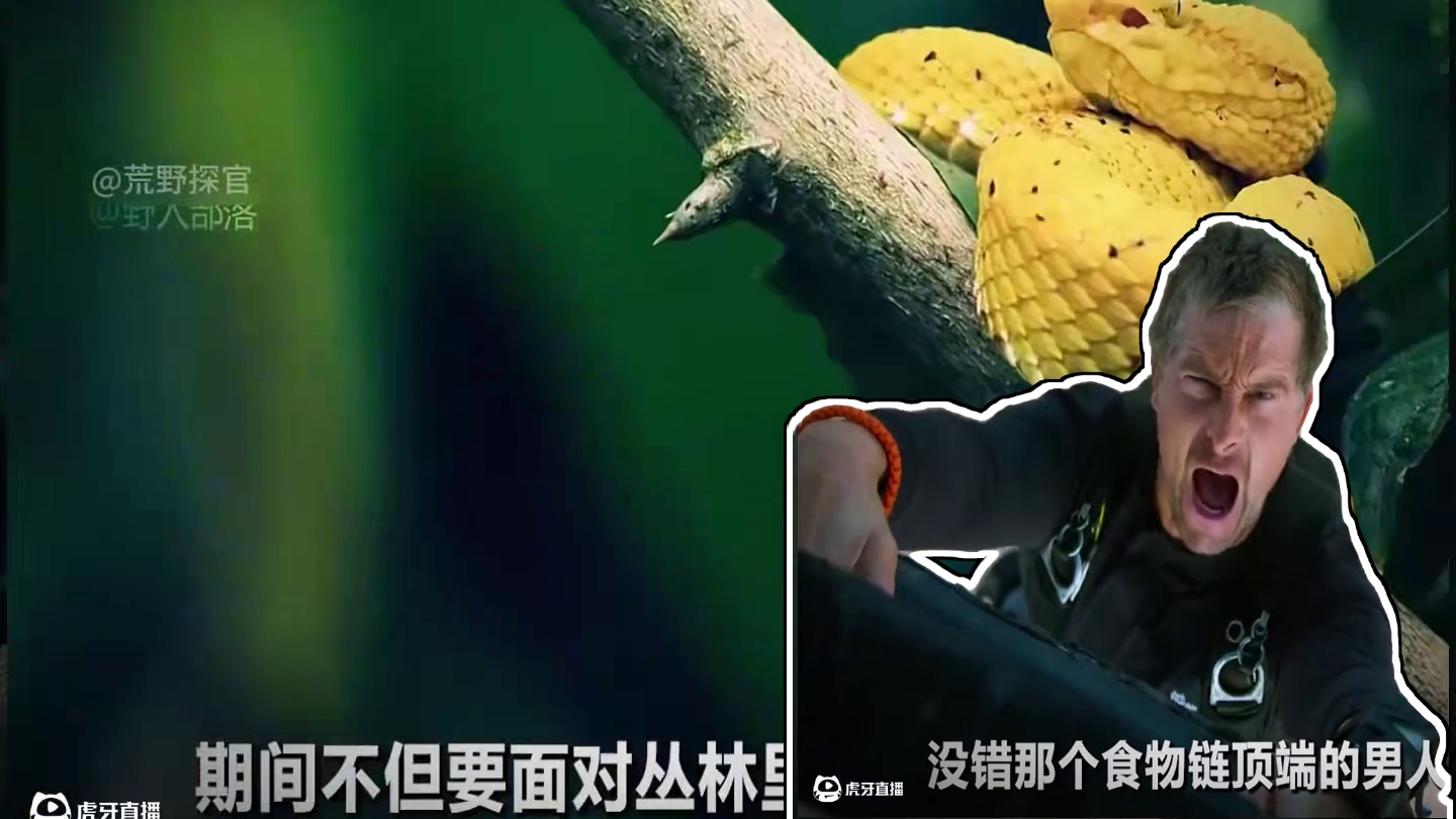 荒野求生 2025年年过半百的贝爷又重出江湖，没错，那个食物链顶端的男人他又回来了，这次他将化身冷酷