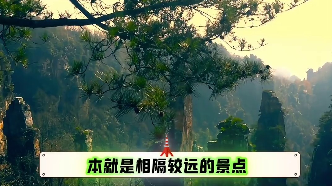 为什么这么多人带张家界的节奏