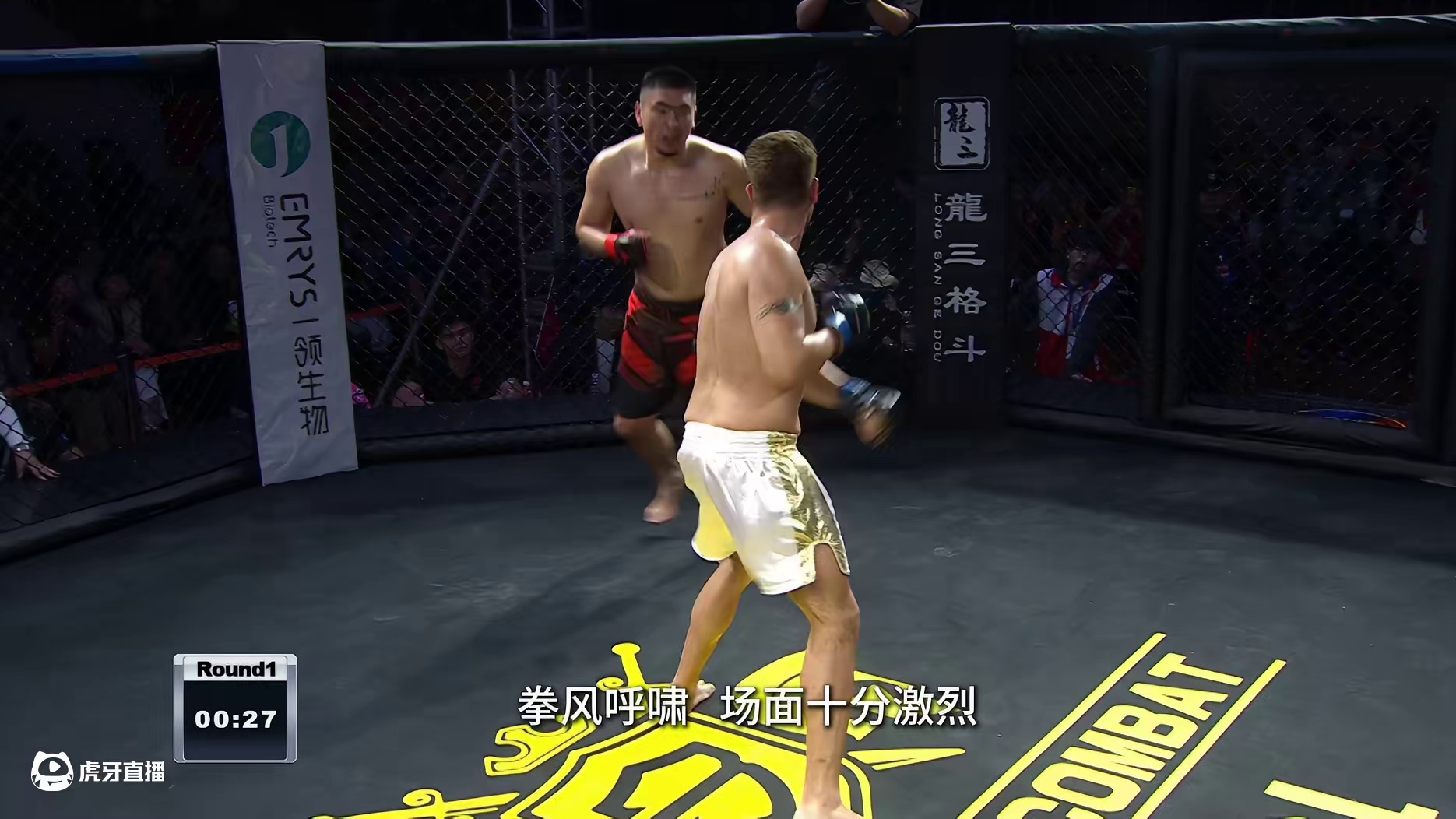 龙三格斗环球拳王巡回赛 卡赞博vs努尔波力