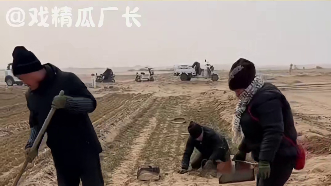 如果天道酬勤，那最该富起来的是农民  #大风  #农民  #极端天气  #台风