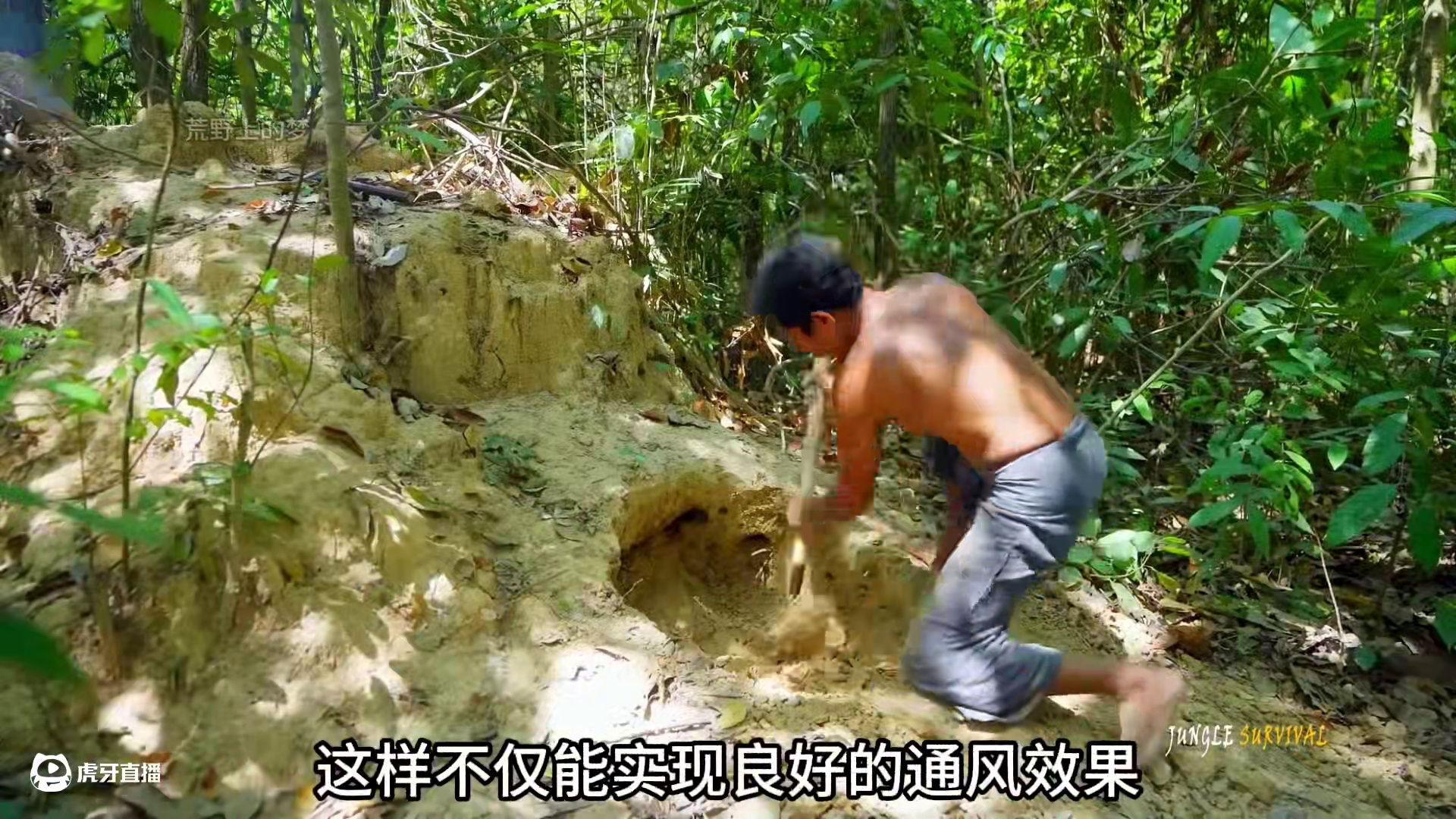 睡前刷到这条视频那你可又掏上了 #庇护所建造 #野外生存 #荒野建造