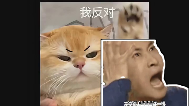 次次都上当，当当都一样