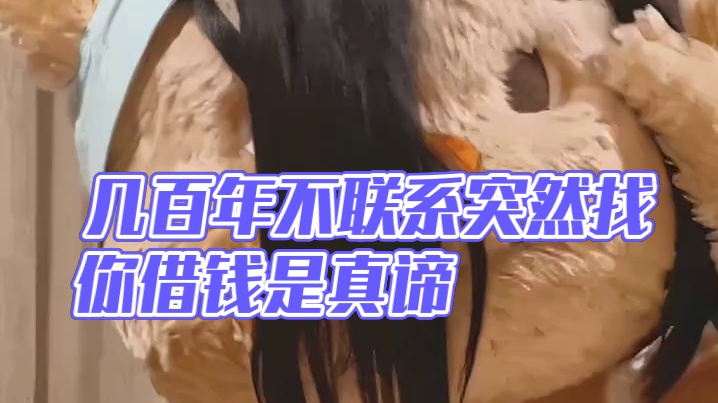 当几百年不联系你的人突然找你