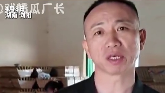 浏阳烟花：就是硬气#万万没想到 #浏阳烟花 #美国关税 #烟花