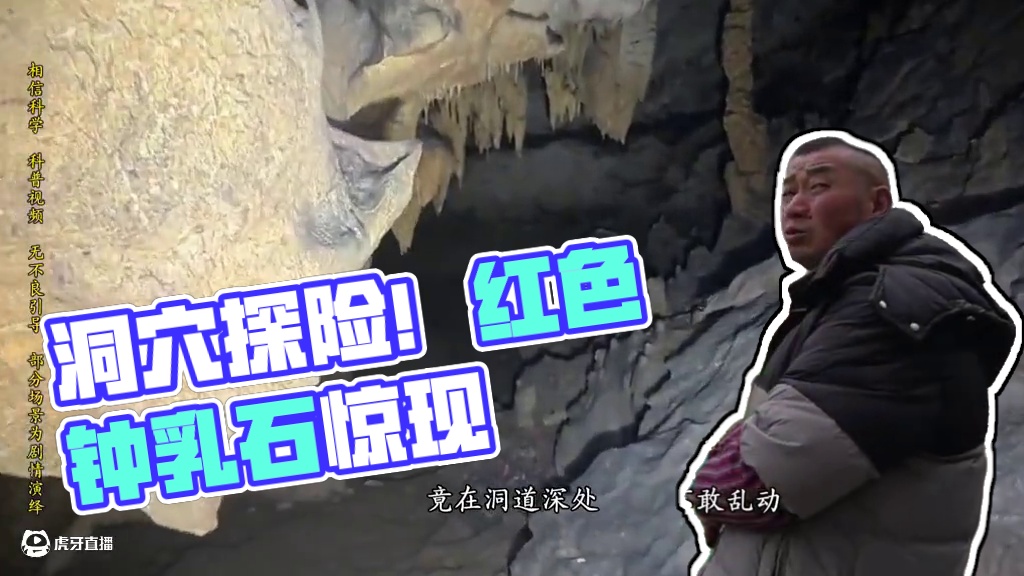 洞穴奇遇记！#内容启发搜索 #科普 #探索发现 #现场实拍 #勇者菩提