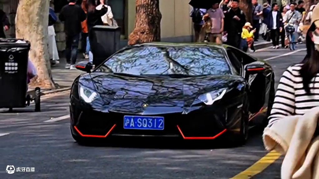 都说V8真男人 那么开V12的男人应该叫什么昵 兰博基尼大牛 #兰博基尼大牛