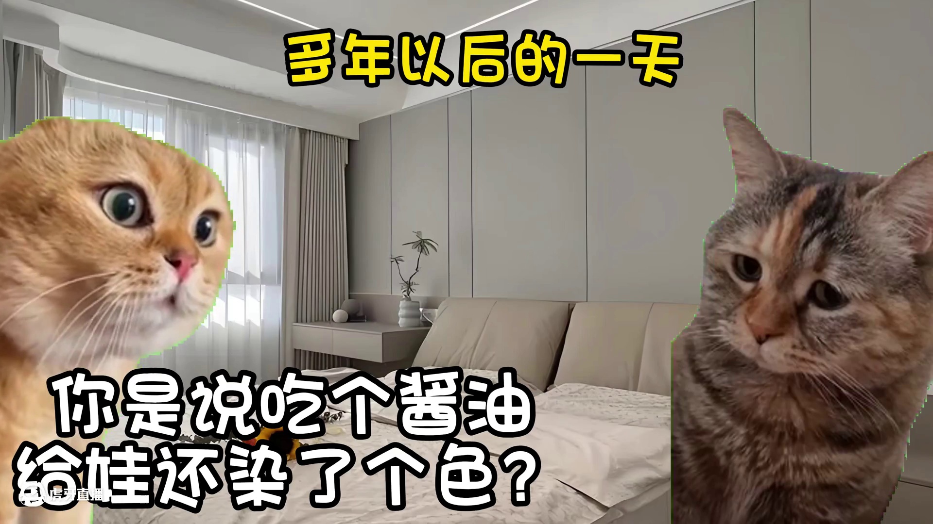 不同时期的准爸爸们