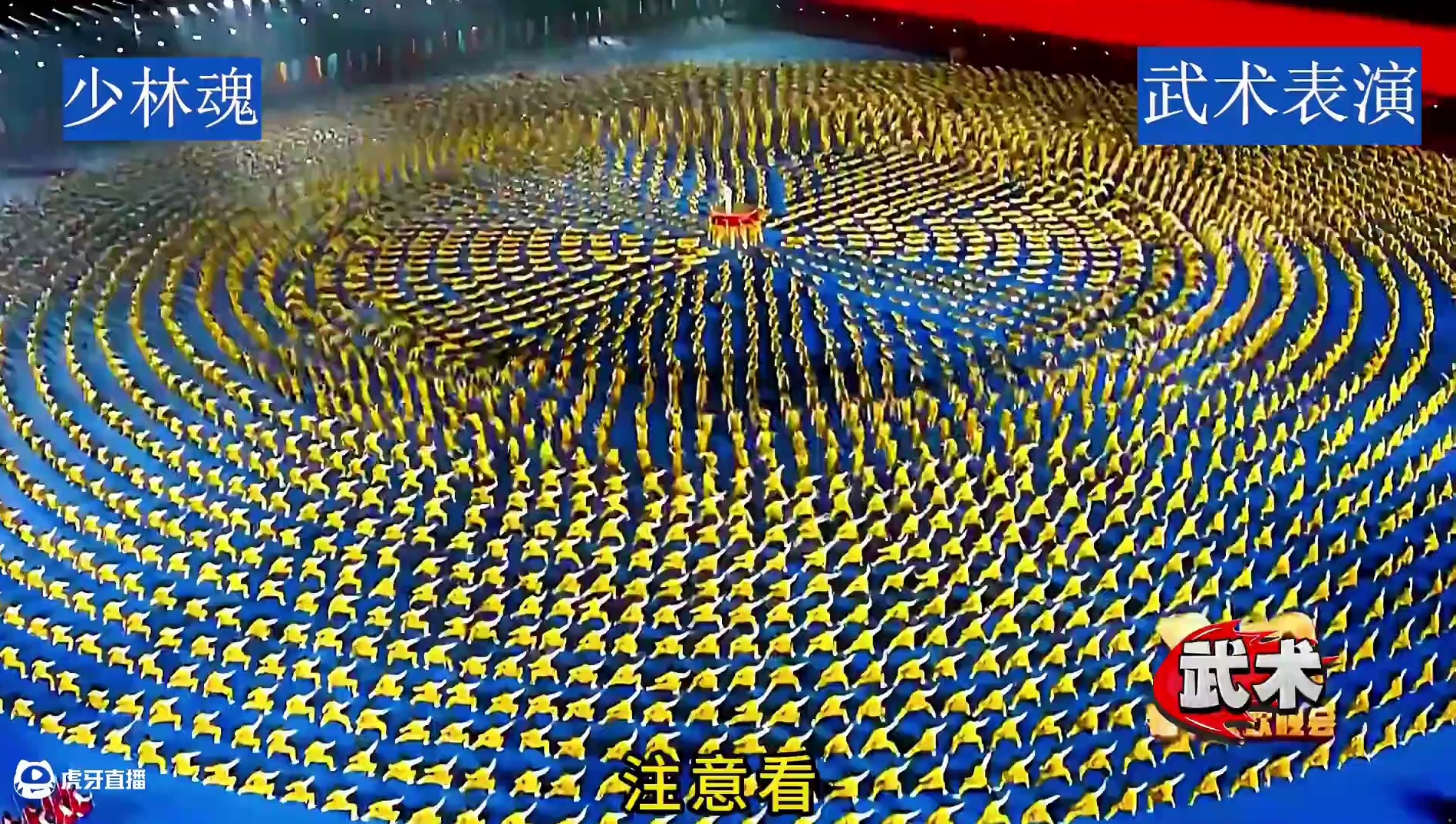 史上最震撼人心的武术表演，规模人数都创造了世界纪录！#体育 #武术表演