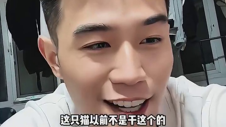 猫咖老板给猫猫开会名场面