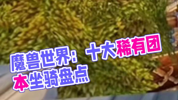 魔兽世界：掉率最低的十只团本坐骑，每周拜访巫妖王的大有人在 #魔兽世界 #WOW