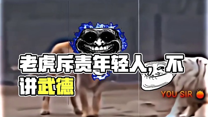 老虎:年轻人你搞偷袭不讲武德#狮子 #老虎