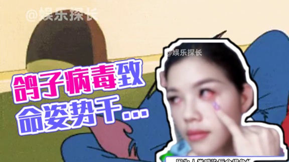 遇见这种鸟千万别手欠去摸！#新城疫  #观星症   #鸽子病毒  #人与动物和谐共处