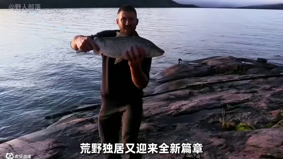 一口气带你看完荒野独居新篇章，往届生存大佬回归比拼生存技能 #荒野求生 #野外生活纪录片 #户外 #