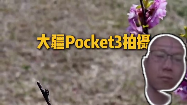 大疆Pocket3有了它也能拍摄微距世界#纽尔滤镜 #大疆pocket3 #拍摄 #摄影器材