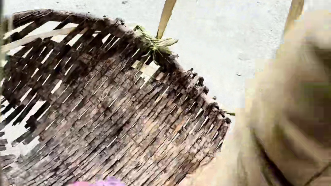 山村厨神小当家 想不到硬邦邦的扇贝  居然是一种美食 #农村柴火饭 #农村美食 #农村生活 #乡村味