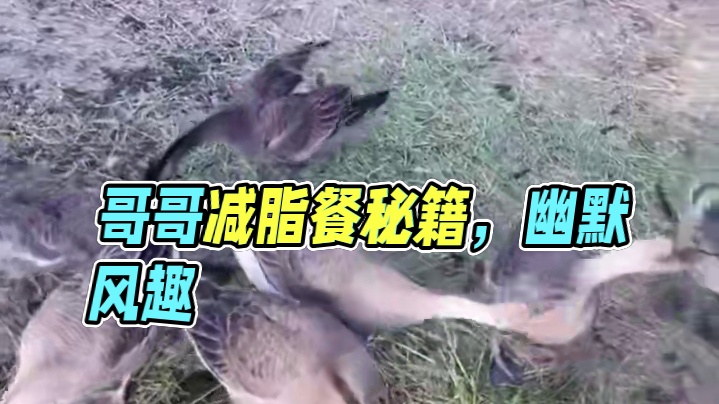 给哥哥们的减脂餐推荐~#搞笑 #语音厅