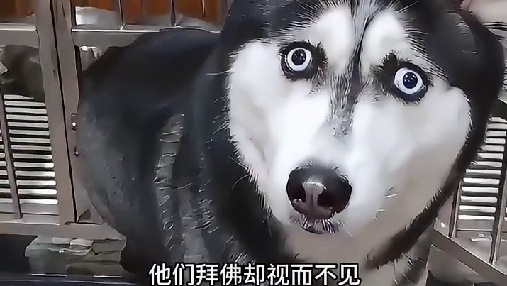 他没有一颗怜悯的心