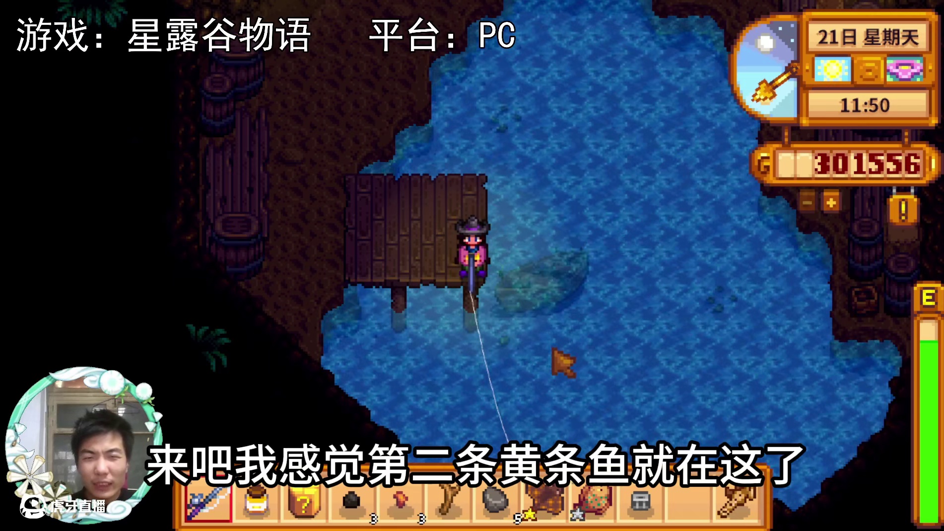 【星露谷物语】热带鱼，5条黄貂鱼，锝手！