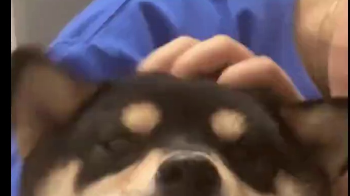 我发布了一个新视频，快来围观吧！