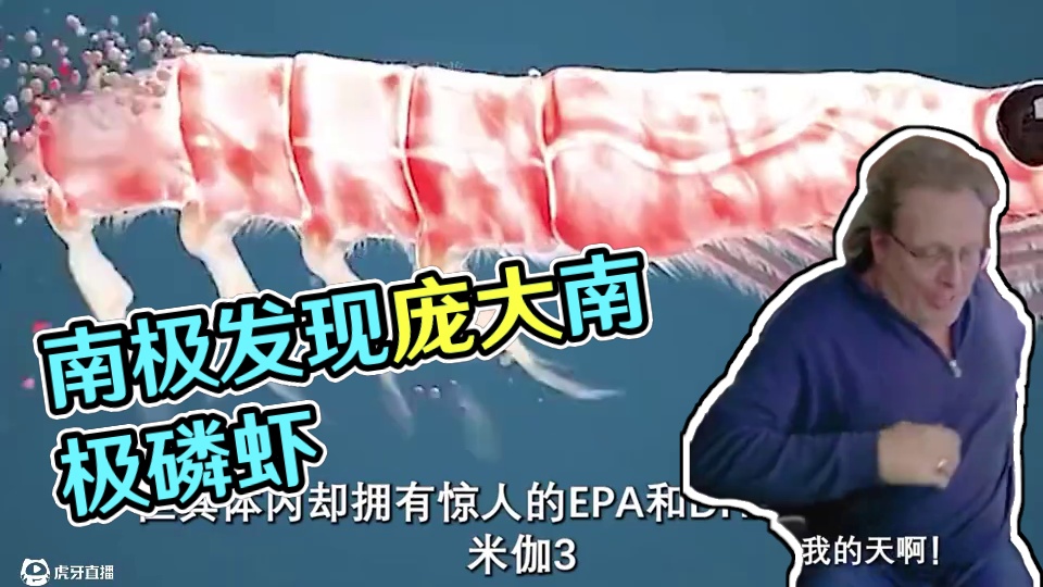 没想到神秘的南极竟然还有这种好东西！#南极磷虾 #虾皮 #虾米 #好吃到停不下来 #超便宜超划算