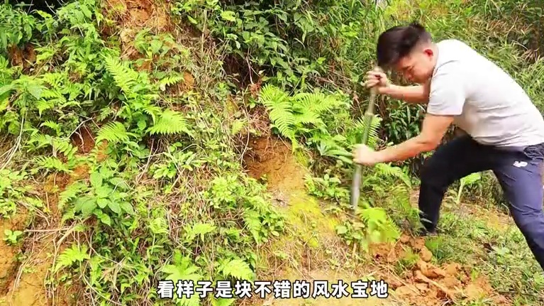 这么隐蔽的庇护所我还是第一次见，保准一走一过没人能发现！ #野外建造 #解压 #荒野建造