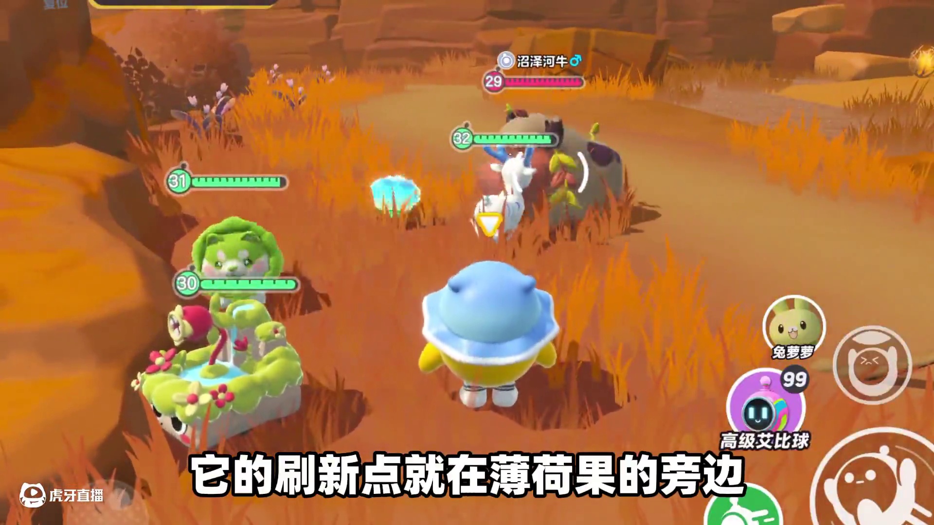 蛋仔派对：当我捕捉新艾比沼泽河牛！却被火山龟赶走了？#皮蛋节春日梦游 #蛋仔派对 #蛋仔神奇艾比