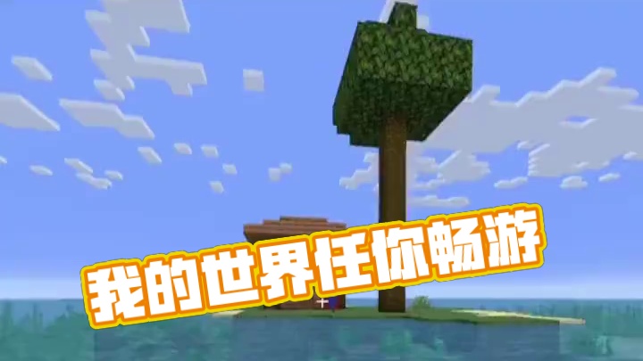 #我的世界 #我的世界中国版 #我的世界任你畅游