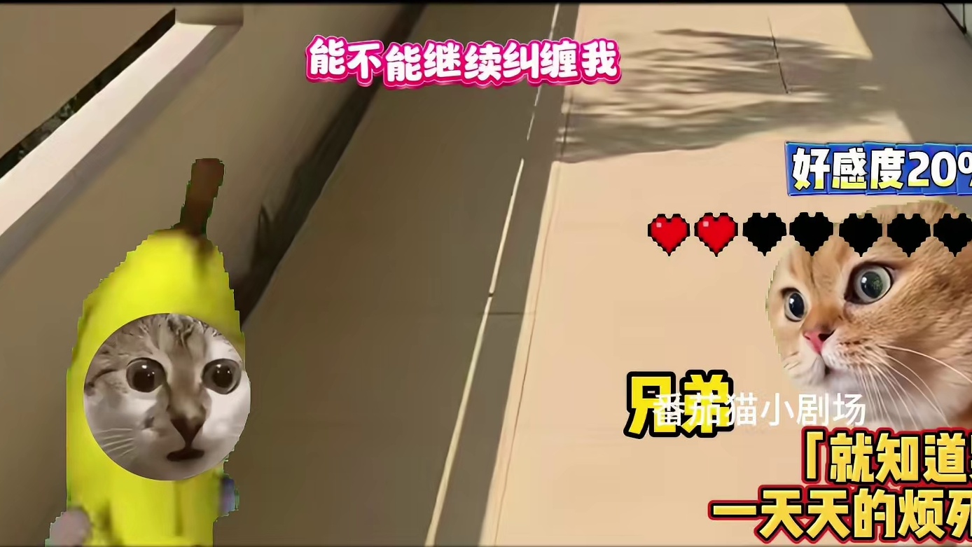 当我能看到每个人的好感度时