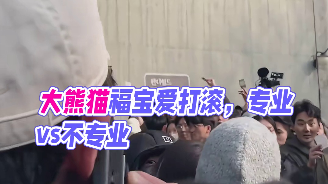 专业跟不专业真的一目了然