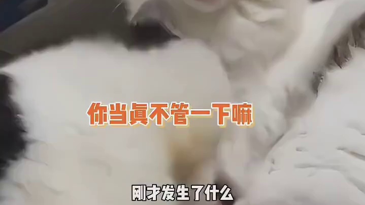 没开玩笑！ 隔着屏幕都感受到被性骚扰了