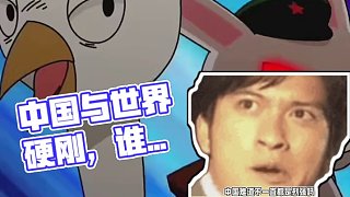 是如何看待的