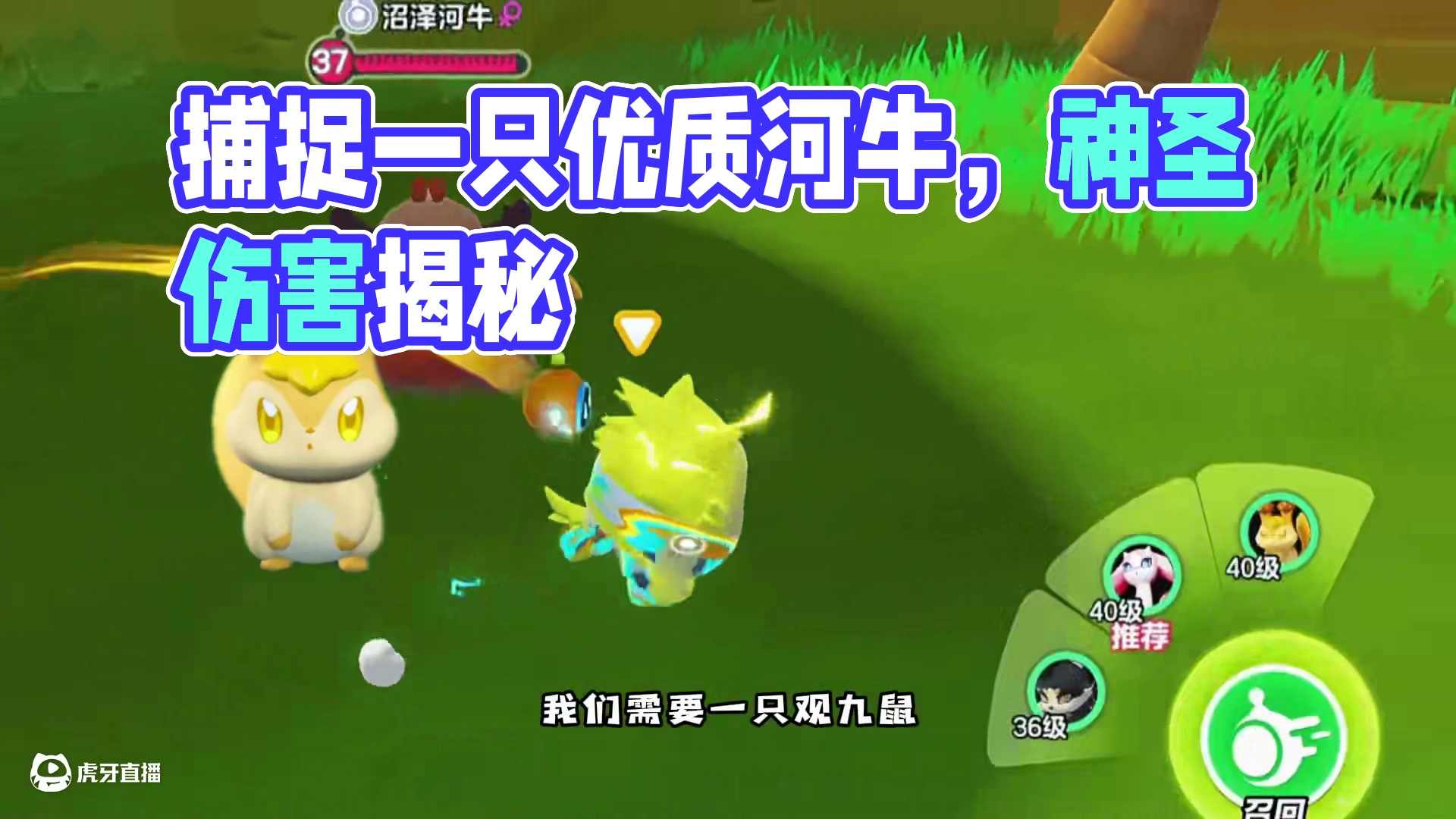 如何捕捉一只优质河牛 #蛋仔派对 #蛋仔派对神奇艾比 #蛋仔奇思妙想计划 #蛋仔来到三次元#皮蛋节春