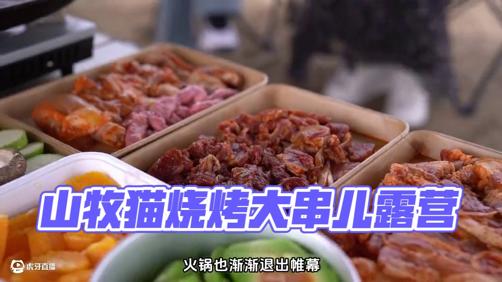 户外露营野炊光有串怎么够？ #户外露营 #烧烤 #山牧猫 #露营和烧烤有多配