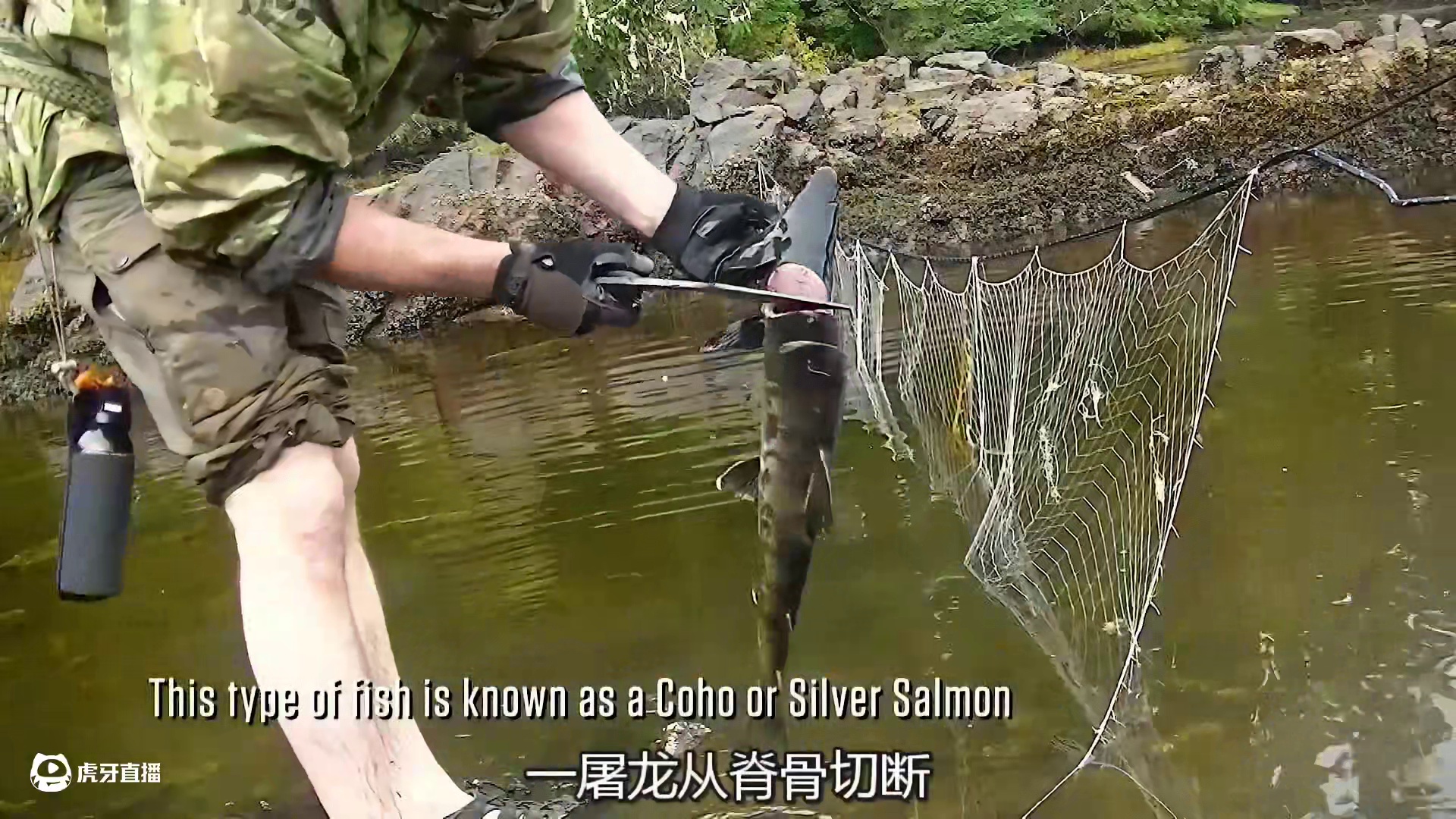 挑战仅进行了八天就有六名选手被劝退 (3)