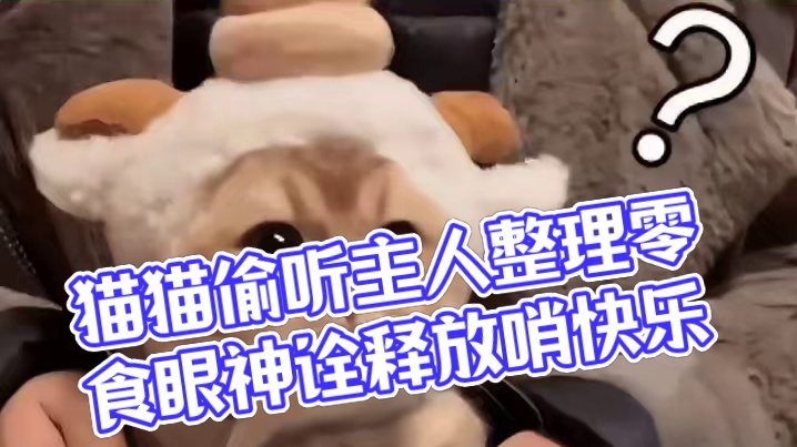 这眼神很好的诠释了：一个站岗一个放哨