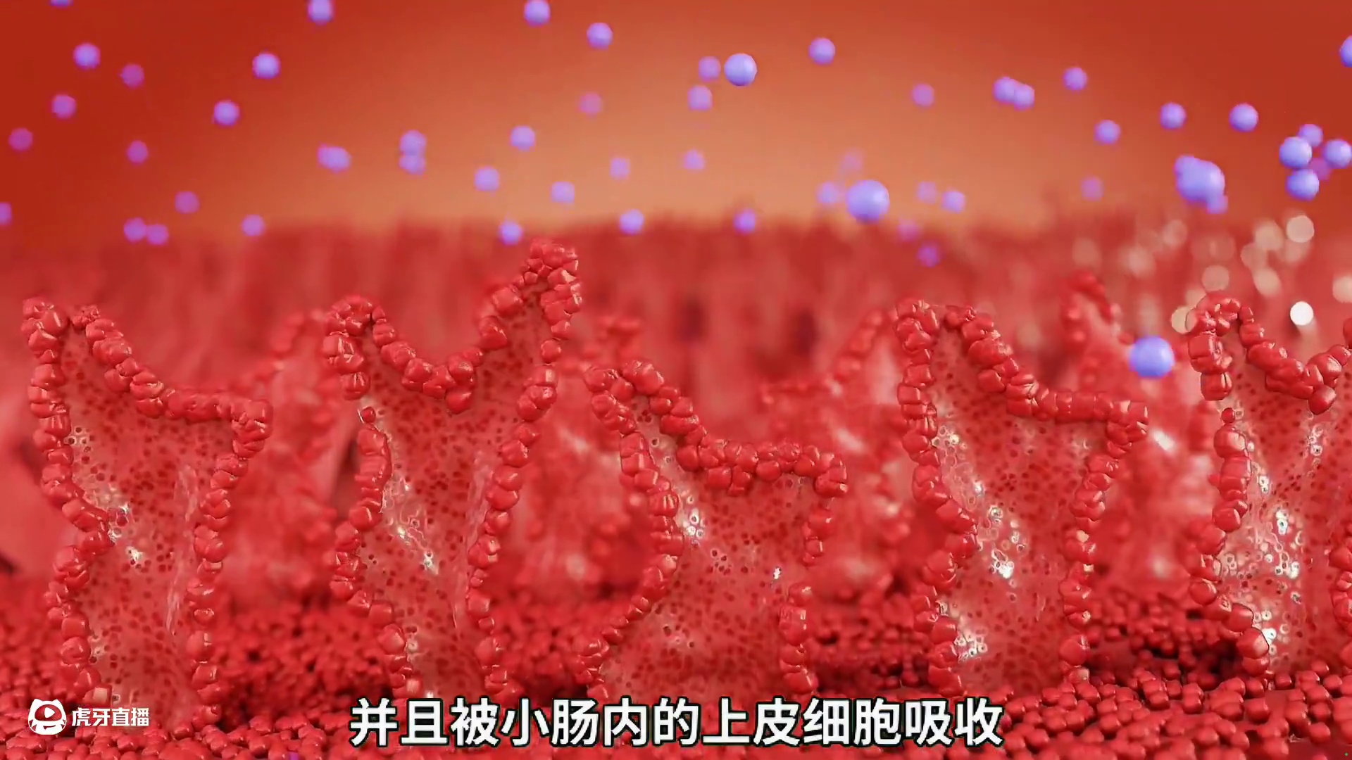 难道我们真的是一个茶包？喝下去透明的水，为什么尿出来是黄色的