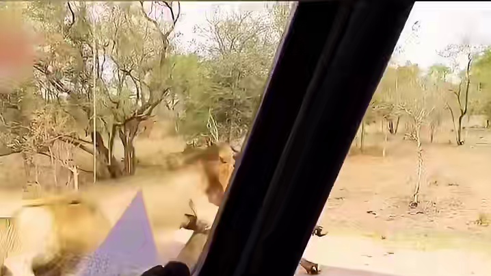 公牛杀了个回马枪